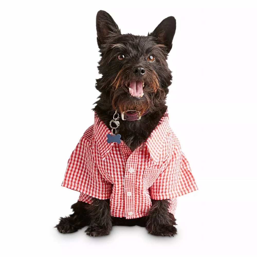 New Dog Pet Gingham Seersucker Shirt - XS